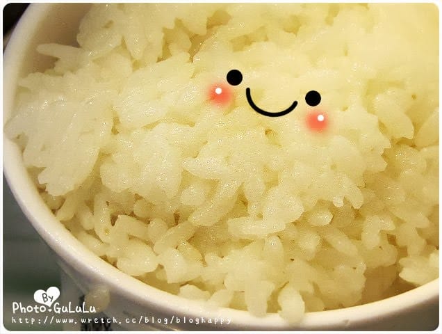 [台北] 西門町全真素食．火鍋薯條鐵板燒蛋包飯～附2012年新內容連結