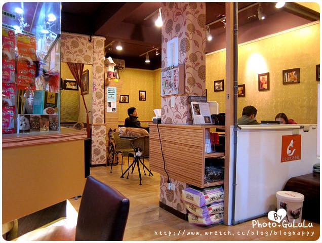 [台北] 元氣貓主題餐廳｜寵物餐廳 芝山