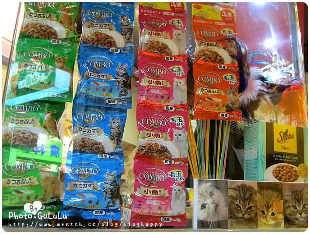 [台北] 元氣貓主題餐廳｜寵物餐廳 芝山