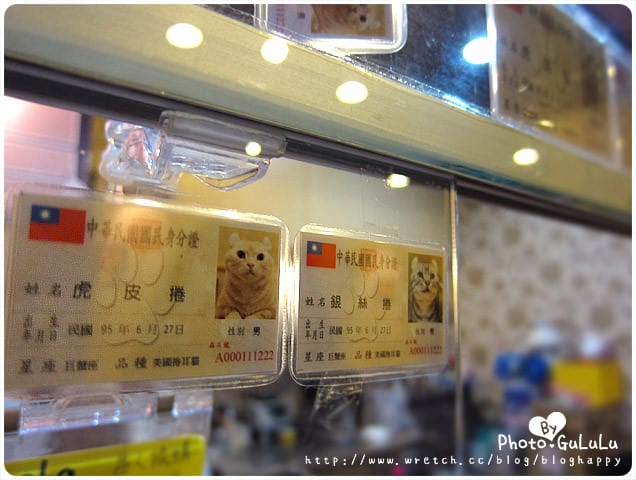 [台北] 元氣貓主題餐廳｜寵物餐廳 芝山