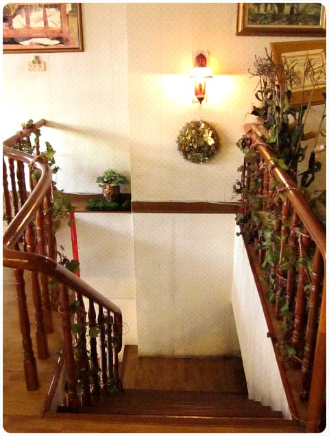 [桃園] 泰迪熊素食餐廳〔小熊庭園〕泰迪熊跟你一起用餐 (搬家