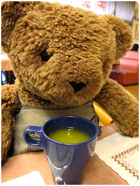 [桃園] 泰迪熊素食餐廳〔小熊庭園〕泰迪熊跟你一起用餐 (搬家