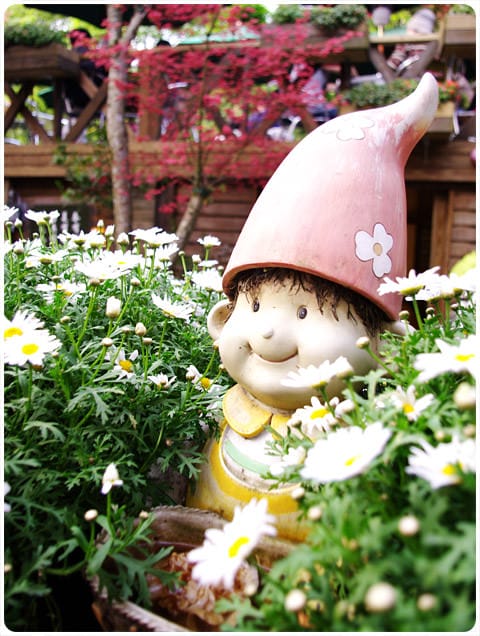 [台北] 陽明山奧萬大｜楓葉紅囉～賞楓吃美食 (上-白天)