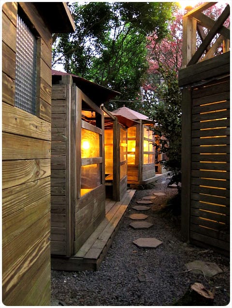 [台北] 陽明山奧萬大｜楓葉紅囉～賞楓吃美食 (下-夜晚)