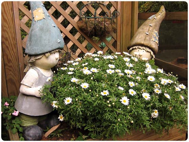 [台北] 陽明山奧萬大｜楓葉紅囉～賞楓吃美食 (上-白天)