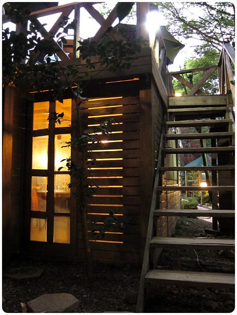 [台北] 陽明山奧萬大｜楓葉紅囉～賞楓吃美食 (下-夜晚)