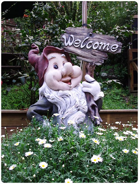 [台北] 陽明山奧萬大｜楓葉紅囉～賞楓吃美食 (上-白天)