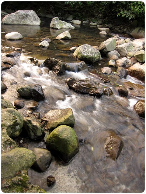 [台北] 陽明山奧萬大｜楓葉紅囉～賞楓吃美食 (下-夜晚)