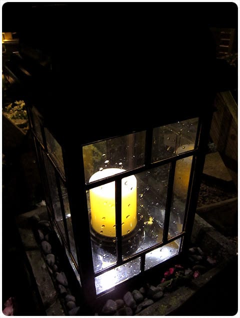 [台北] 陽明山奧萬大｜楓葉紅囉～賞楓吃美食 (下-夜晚)