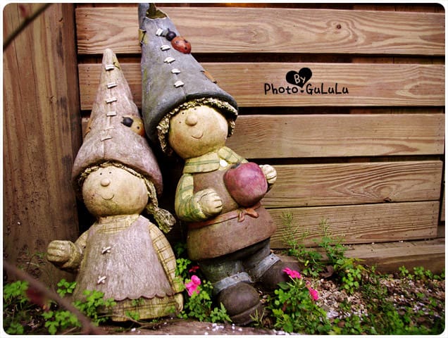 [台北] 陽明山奧萬大｜楓葉紅囉～賞楓吃美食 (上-白天)