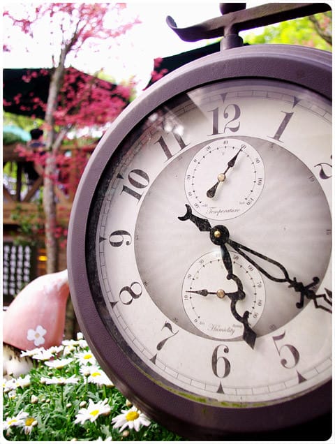 [台北] 陽明山奧萬大｜楓葉紅囉～賞楓吃美食 (上-白天)