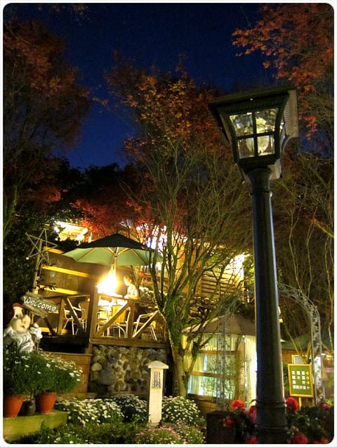 [台北] 陽明山奧萬大｜楓葉紅囉～賞楓吃美食 (下-夜晚)