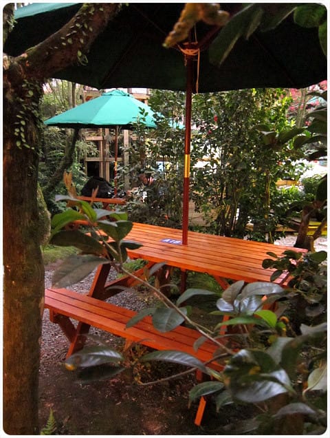 [台北] 陽明山奧萬大｜楓葉紅囉～賞楓吃美食 (下-夜晚)