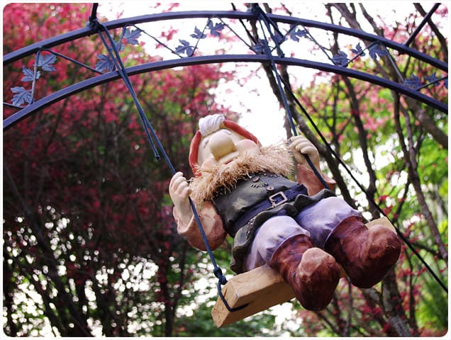 [台北] 陽明山奧萬大｜楓葉紅囉～賞楓吃美食 (上-白天)