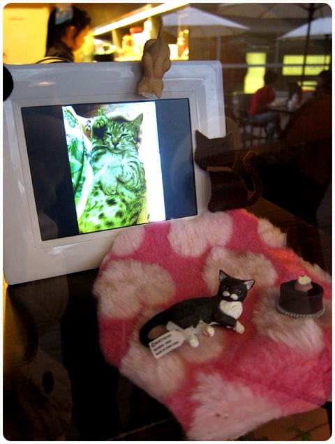 [板橋] 巧克力鍋 in Joy chocolate 巧克力音樂人文會館 (環境篇 葷素