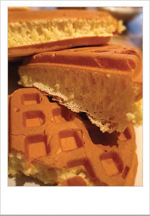 [新北] 彩虹咖啡 鬆餅｜黃金獵犬店長、板橋 新埔捷運旁 (葷素