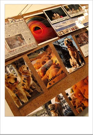 [新北] 彩虹咖啡 鬆餅｜黃金獵犬店長、板橋 新埔捷運旁 (葷素