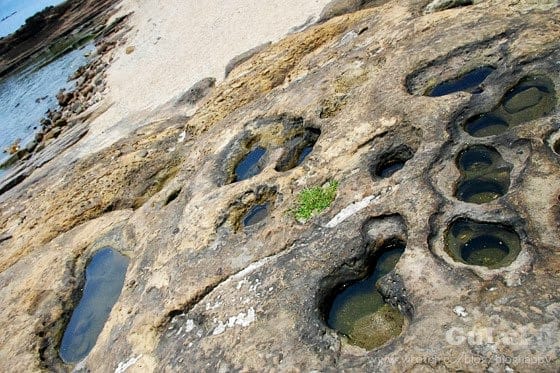 [新北景點] 野柳女王頭 地質公園我來了！