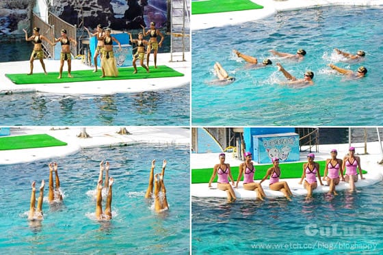 [新北景點] 野柳海洋世界 北海岸假期這樣過 (上)