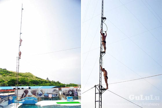 [新北景點] 野柳海洋世界 北海岸假期這樣過 (上)