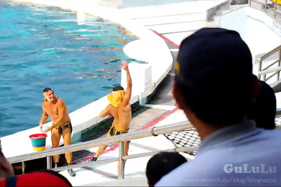 [新北景點] 野柳海洋世界 北海岸假期這樣過 (上)