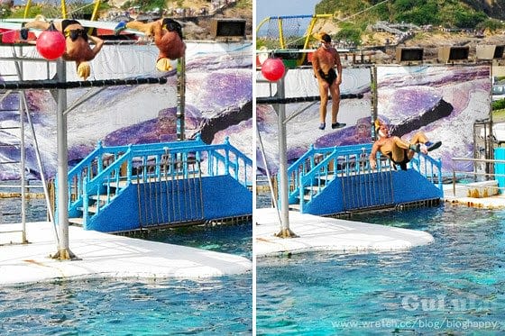 [新北景點] 野柳海洋世界 北海岸假期這樣過 (上)