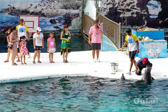 [新北景點] 野柳海洋世界 北海岸假期這樣過 (上)