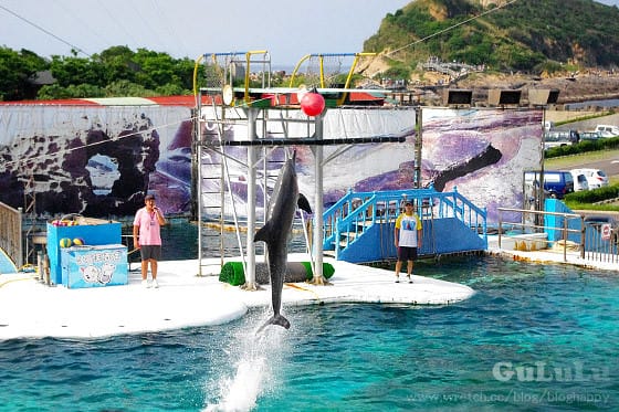 [新北景點] 野柳海洋世界 北海岸假期這樣過 (上)
