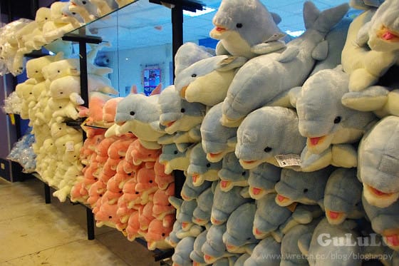 [新北景點] 野柳海洋世界 北海岸假期這樣過 (下)