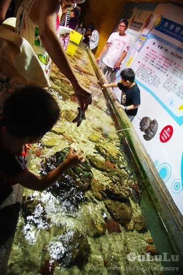 [新北景點] 野柳海洋世界 北海岸假期這樣過 (下)