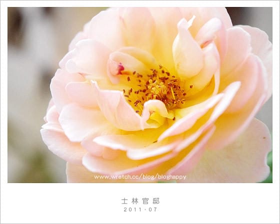 【士林官邸/台北】玩了十年～讓我來帶路ＸＤ