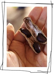 【食】吃也要繽紛色彩～走走吃吃五連發！（黑色食物篇）