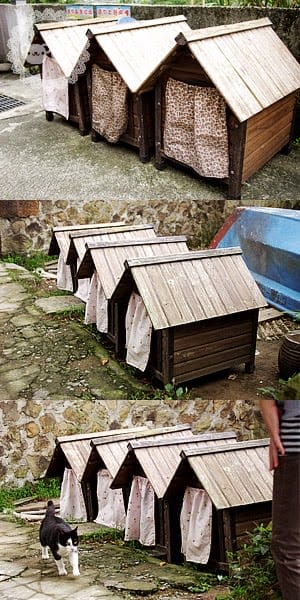 [新北景點] 侯硐貓村、平溪線鐵道、媒礦村落懷舊風情｜新北瑞芳