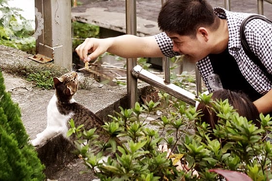 [新北景點] 侯硐貓村、平溪線鐵道、媒礦村落懷舊風情｜新北瑞芳