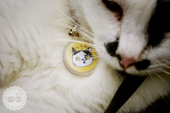 [新北景點] 侯硐貓村、平溪線鐵道、媒礦村落懷舊風情｜新北瑞芳