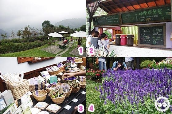 [新竹景點] 薰衣草森林｜從台北騎機車出發 新竹尖石 (葷素