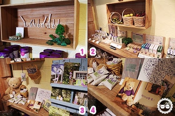 [新竹景點] 薰衣草森林｜從台北騎機車出發 新竹尖石 (葷素