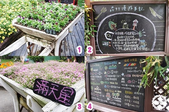 [新竹景點] 薰衣草森林｜從台北騎機車出發 新竹尖石 (葷素