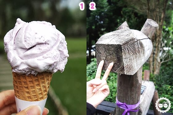 [新竹景點] 薰衣草森林｜從台北騎機車出發 新竹尖石 (葷素