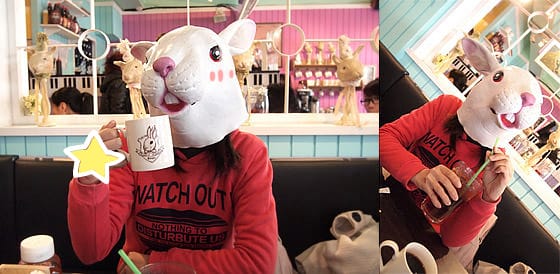 [台北] 主題餐廳〔Rabbit Rabbit 兔子兔子美式餐廳〕師大店 (葷素 已歇業