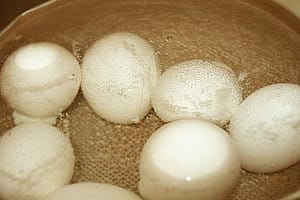露露日常料理 ▌古露露哥哥親自下廚「馬鈴薯沙拉」
