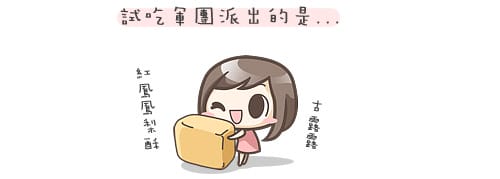 億達 紅鳳鳳梨酥｜愛吃又怕胖者的良伴 ♥ 團購美食