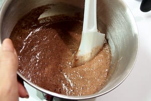 露露日常料理 ▌這盆栽真的可以吃！用榛果可可亞做出時髦點心～盆栽蛋糕