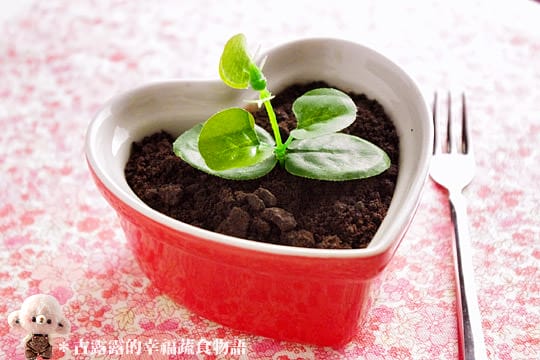 露露日常料理 ▌這盆栽真的可以吃！用榛果可可亞做出時髦點心～盆栽蛋糕