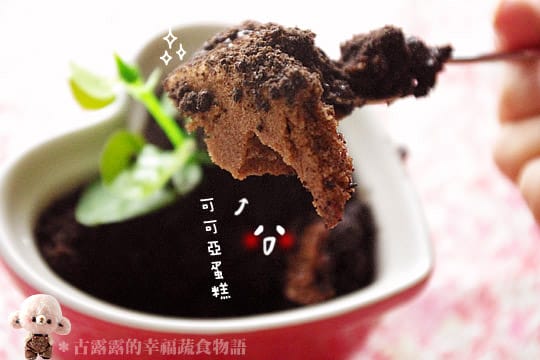 露露日常料理 ▌這盆栽真的可以吃！用榛果可可亞做出時髦點心～盆栽蛋糕