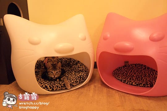 [新北] 可愛的貓肉球部隊～被攻陷啦！野貓中途咖啡 (更名貓咪親古 / 葷素