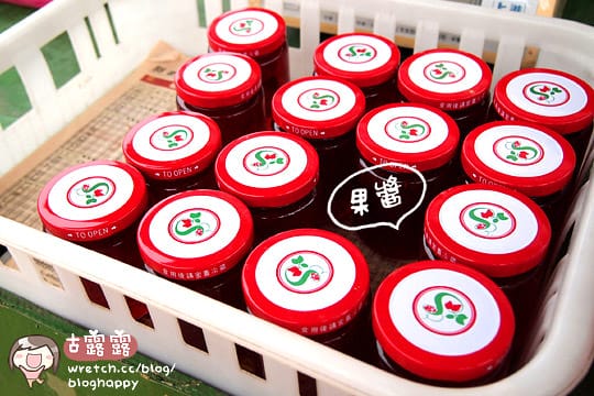 [苗栗景點] 大湖採草莓！草莓季 手採草莓享樂趣～草莓食譜多多