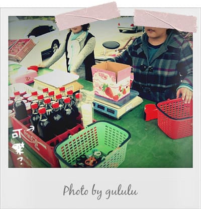 [苗栗景點] 大湖採草莓！草莓季 手採草莓享樂趣～草莓食譜多多