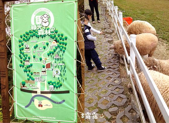 [桃園景點] 綠光森林-富野綿羊牧場｜偶像劇拍攝景點，午茶鬆餅 (葷素