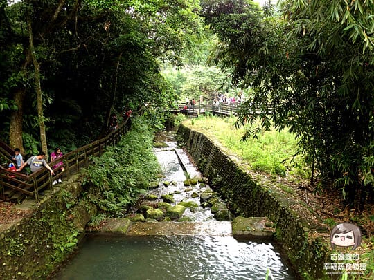 [新北景點] 客家桐花祭｜新北市土城，桐花開了共享一季浪漫